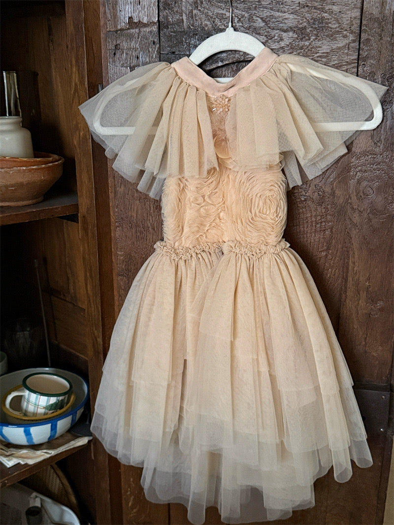 Preorder Petal Party Collection Thelma Ballerina Dress Please Read Description