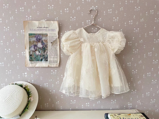 On Hand Alina Dress in 0-6 months