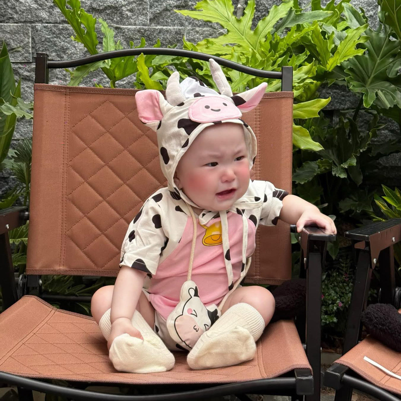On Hand Cow Costume