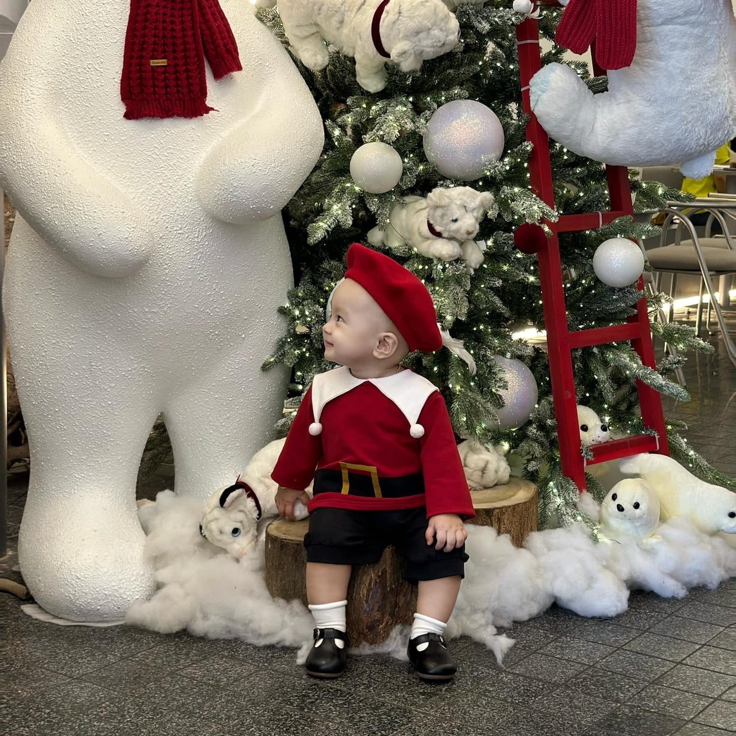 Preorder for Christmas Santa & Elf Shirt & Shorts