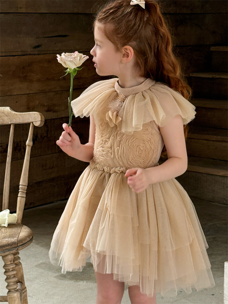 Preorder Petal Party Collection Thelma Ballerina Dress Please Read Description